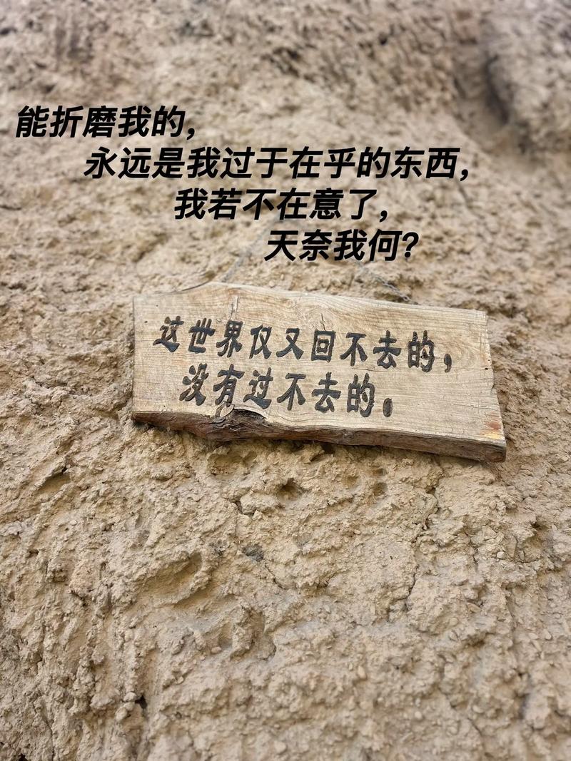 卑微的承诺 第1张 卑微的承诺 第1张
