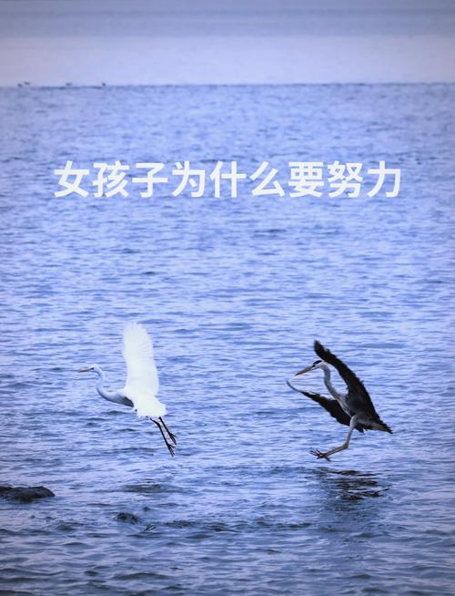女生为什么不奋斗 第1张 女生为什么不奋斗 第1张