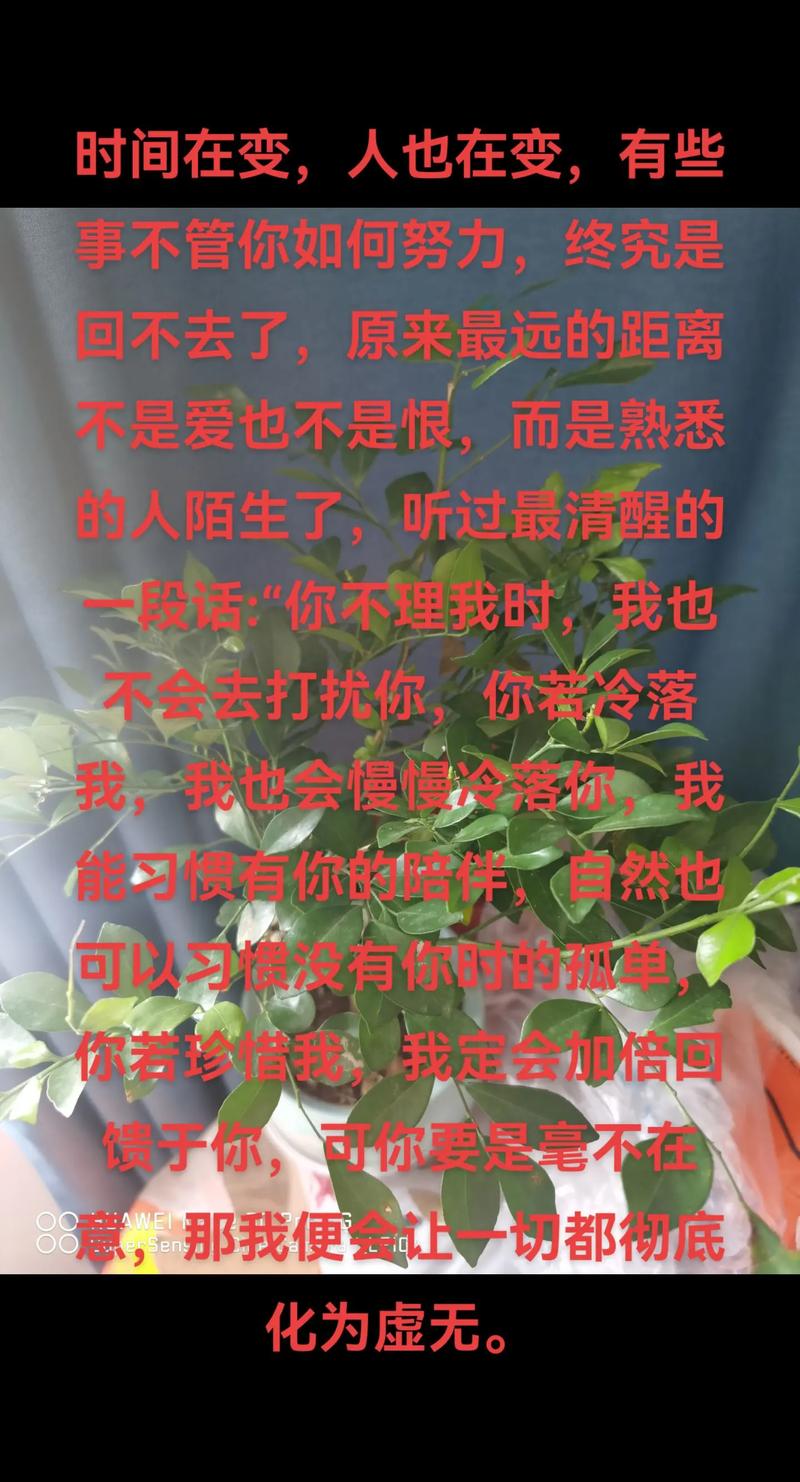 是谁留下陌生的身影  第1张