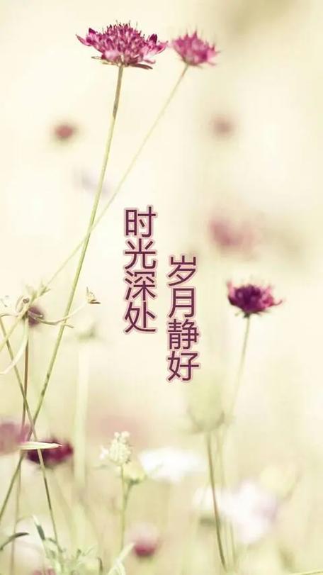 时光蹉跎 第1张 时光蹉跎 第1张