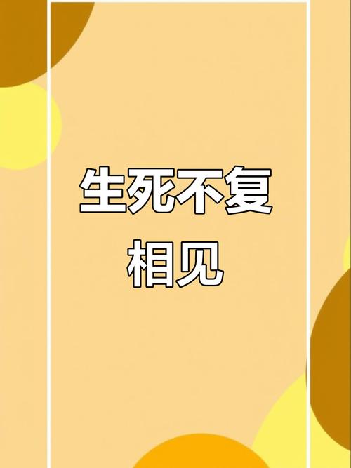 生死不复相见的经典语录 死生不复相见是什么意思  第1张
