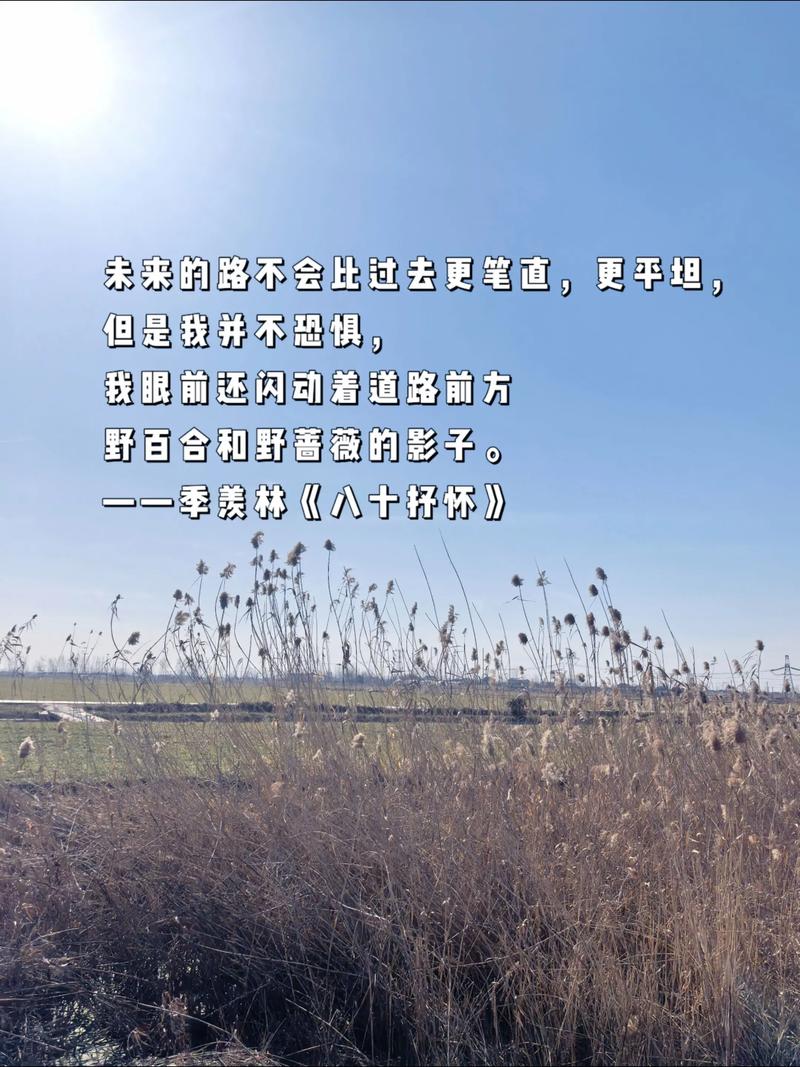 再遥远的等待,只要坚持总会到来 第1张 再遥远的等待,只要坚持总会到来 第1张