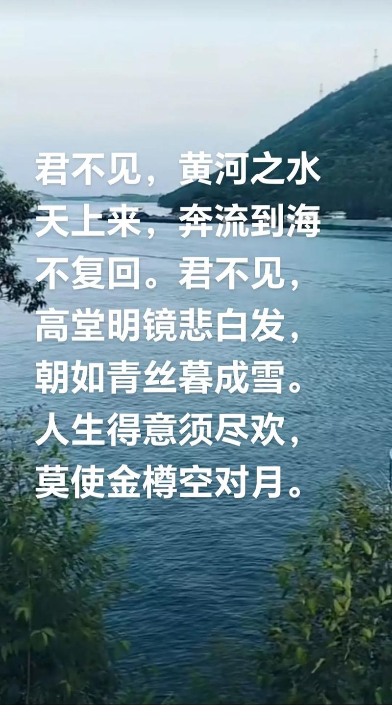 人道流水无情,无望是落花无意 第1张 人道流水无情,无望是落花无意 第1张