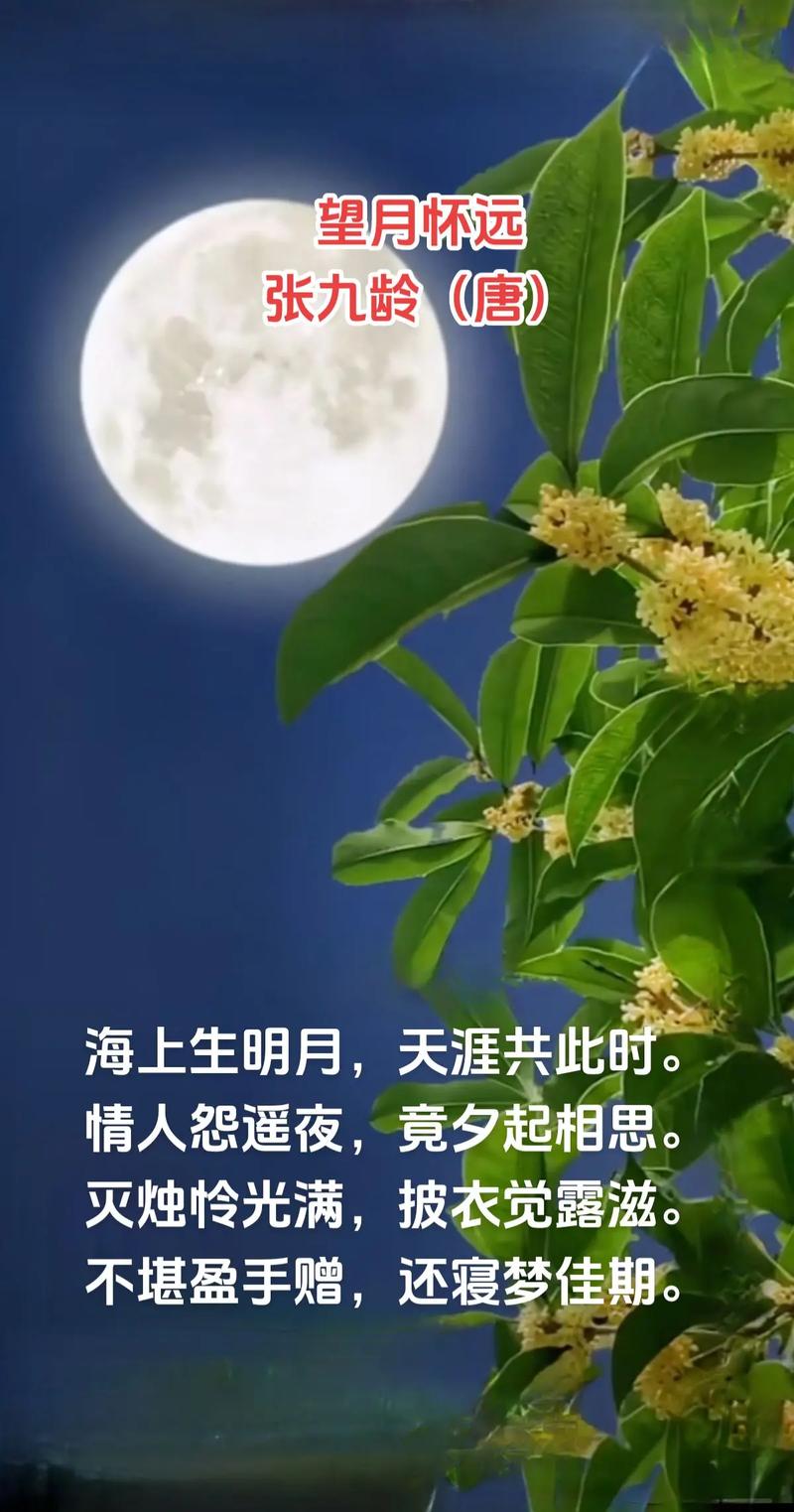九月抒怀 第1张 九月抒怀 第1张