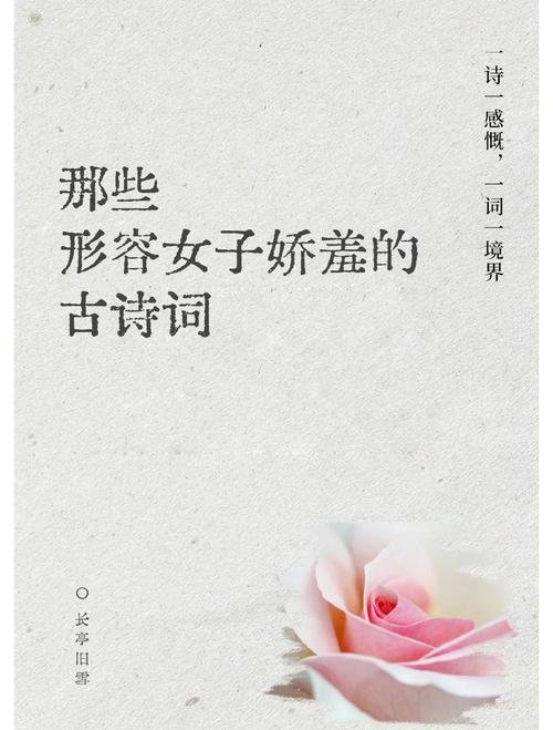 温婉词  第1张