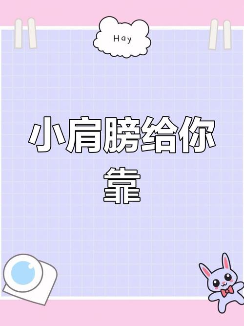 你的肩膀  第1张