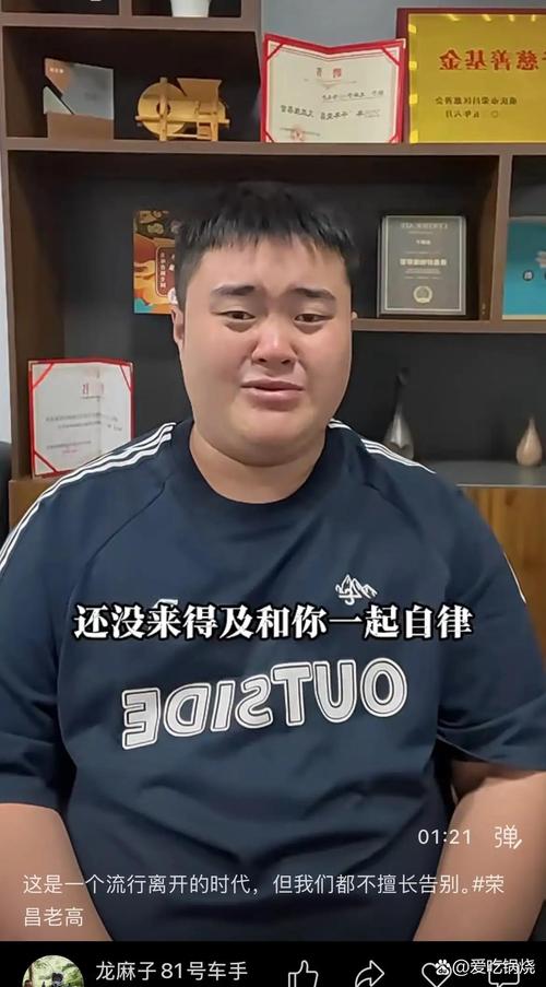 生不逢时的老高  第1张