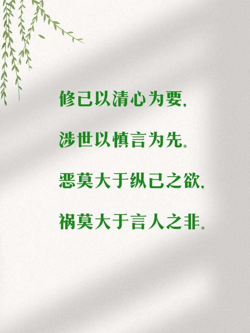 纵恶  第1张