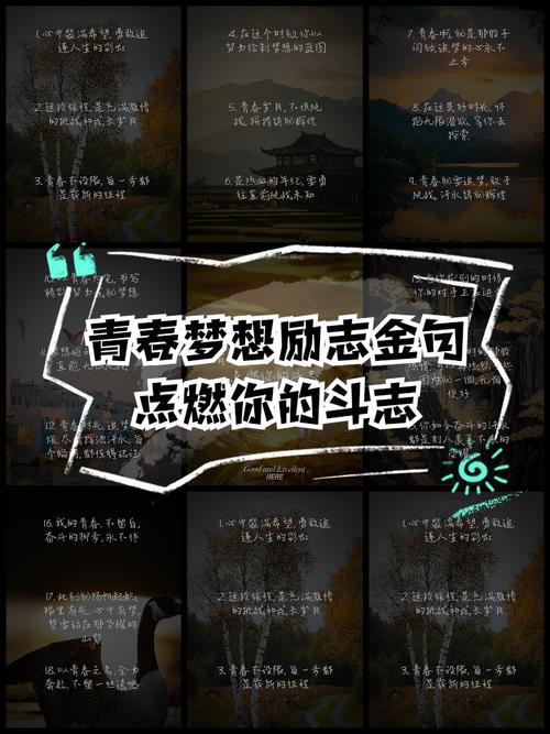 我们常怀青春梦想  第1张