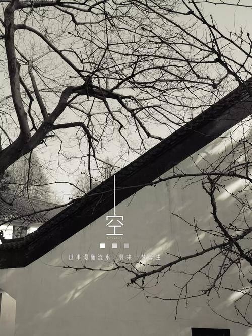 空寂  第1张