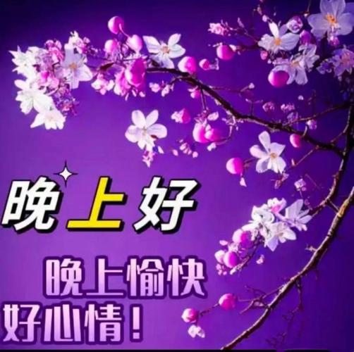 我的夜，我的祝福  第1张