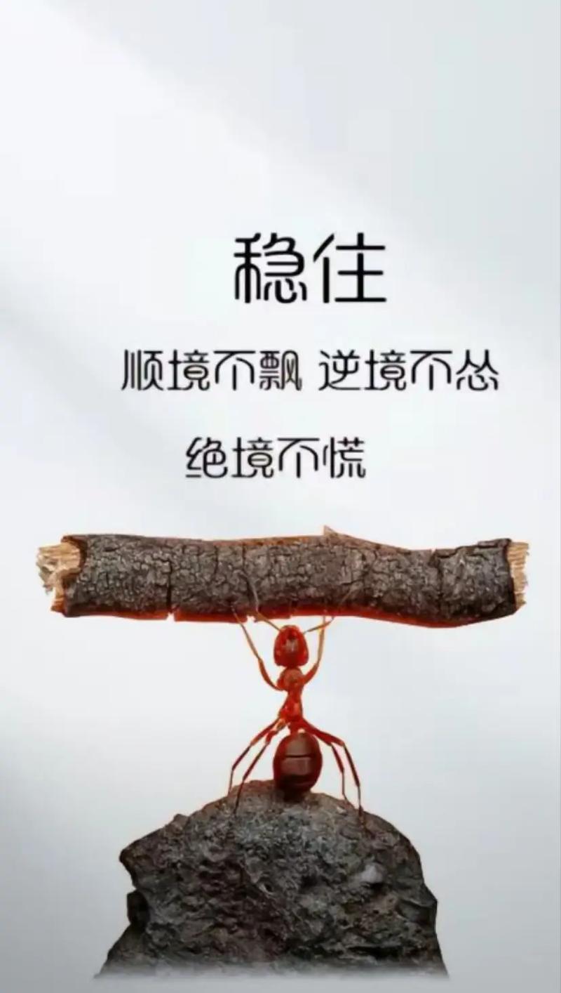 逆境中成长:分享一句让你坚强前行的励志名言 第1张 逆境中成长:分享一句让你坚强前行的励志名言 第1张