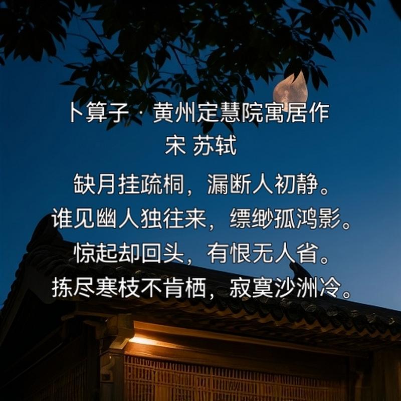 你若不独守凄凉,我亦不空乏寂寞 第1张 你若不独守凄凉,我亦不空乏寂寞 第1张