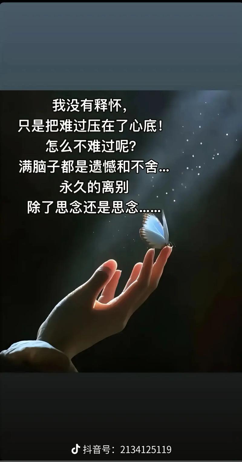 心中隔着梦 ，梦外一道墙  第1张