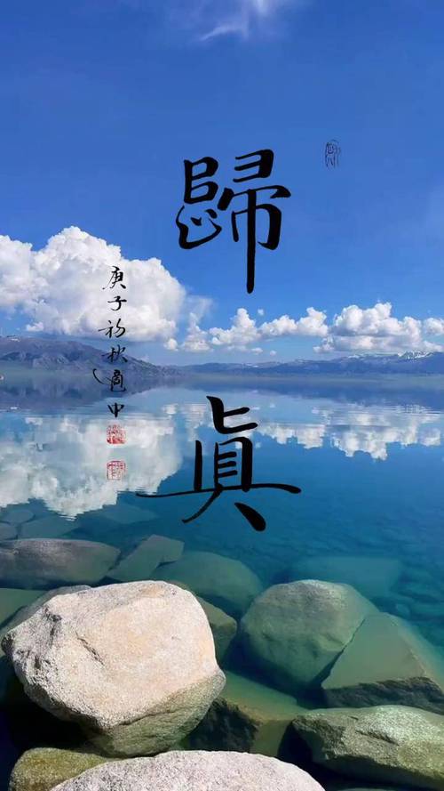 归真  第1张