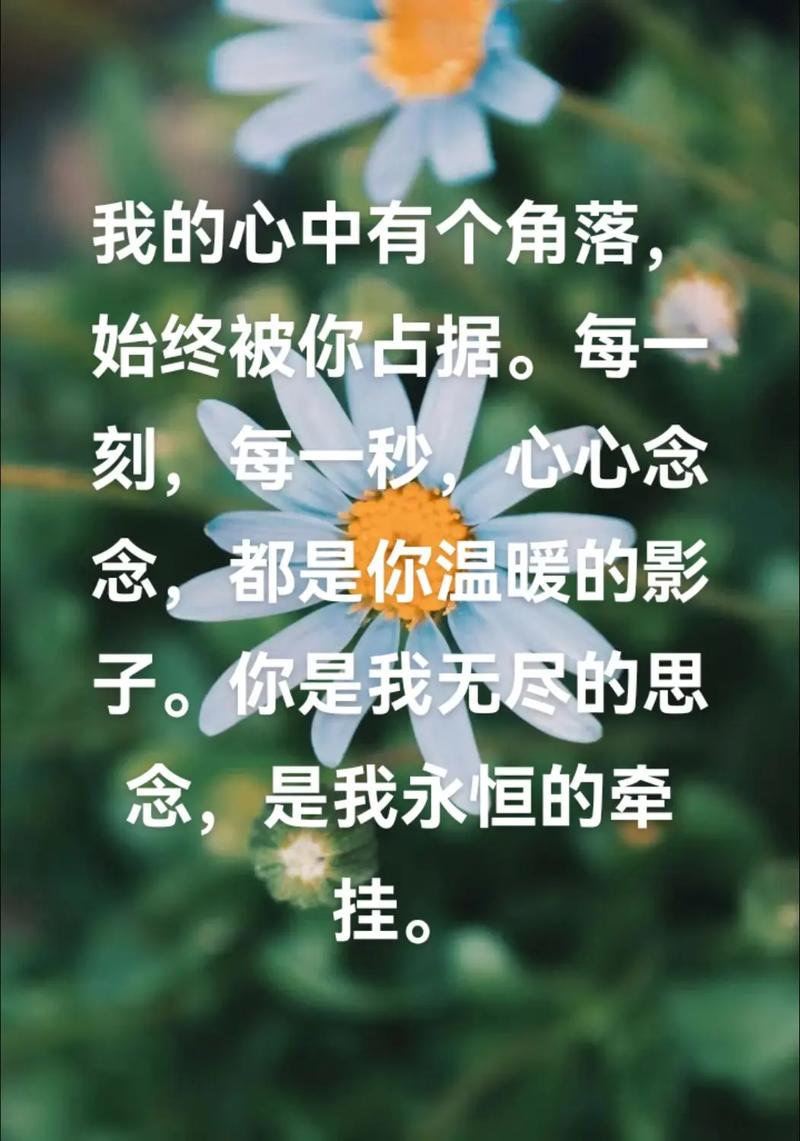 思念同步,温暖前行 第1张 思念同步,温暖前行 第1张