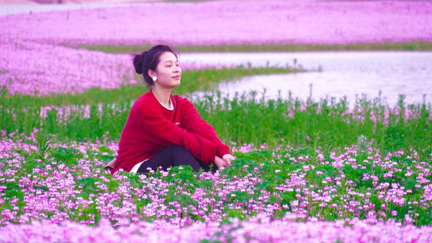 紫花坪的女人 第1张 紫花坪的女人 第1张