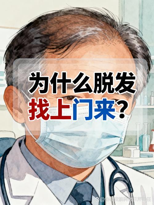 你的发际一如过去 第1张 你的发际一如过去 第1张