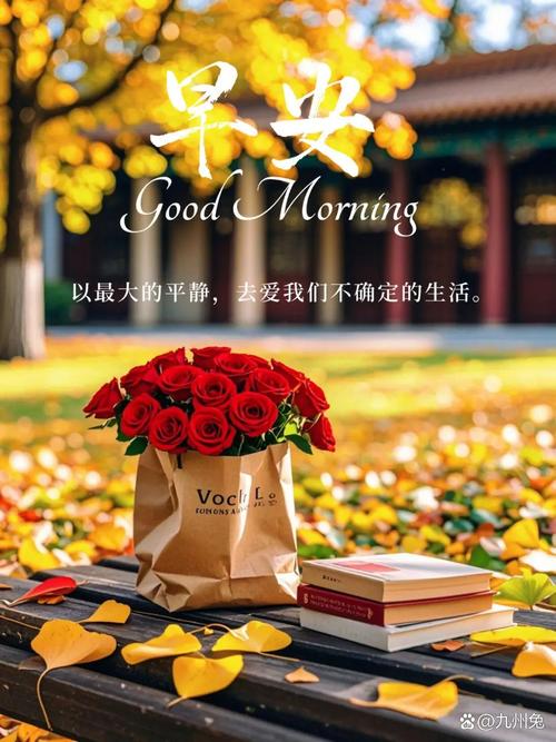 温暖的早晨  第1张