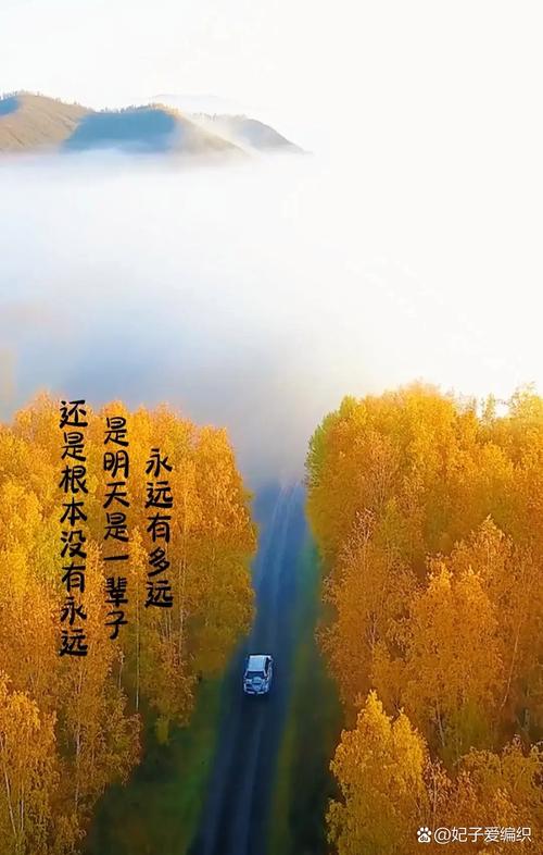 一生到底有多长,永远到底有多远 第1张 一生到底有多长,永远到底有多远 第1张