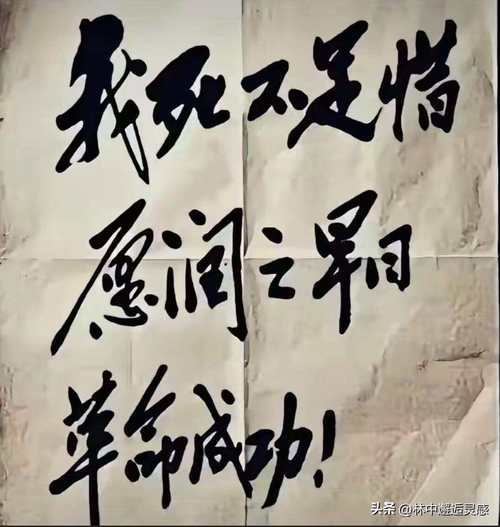 走钢索的人,不害怕牺牲 第1张 走钢索的人,不害怕牺牲 第1张