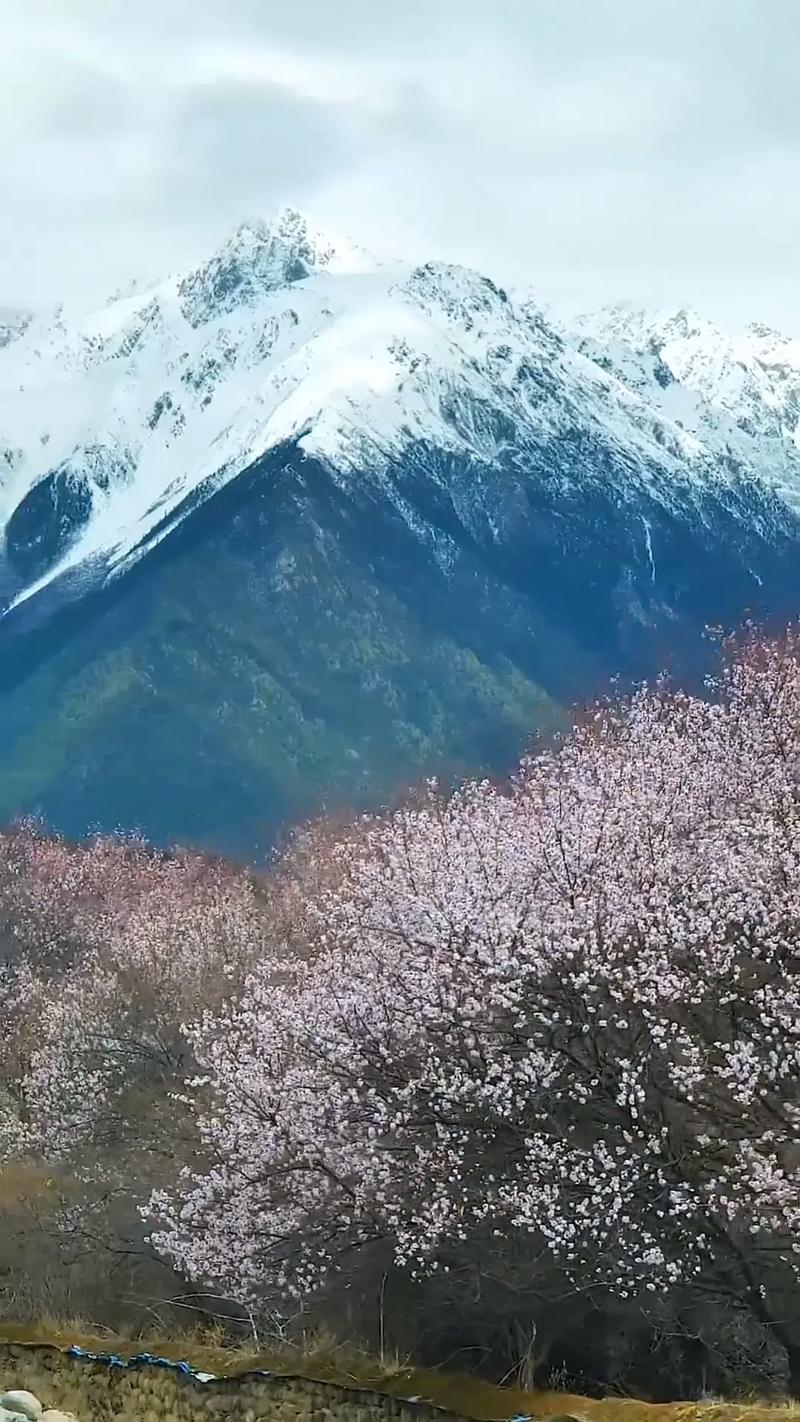 不能错过的风景 第1张 不能错过的风景 第1张