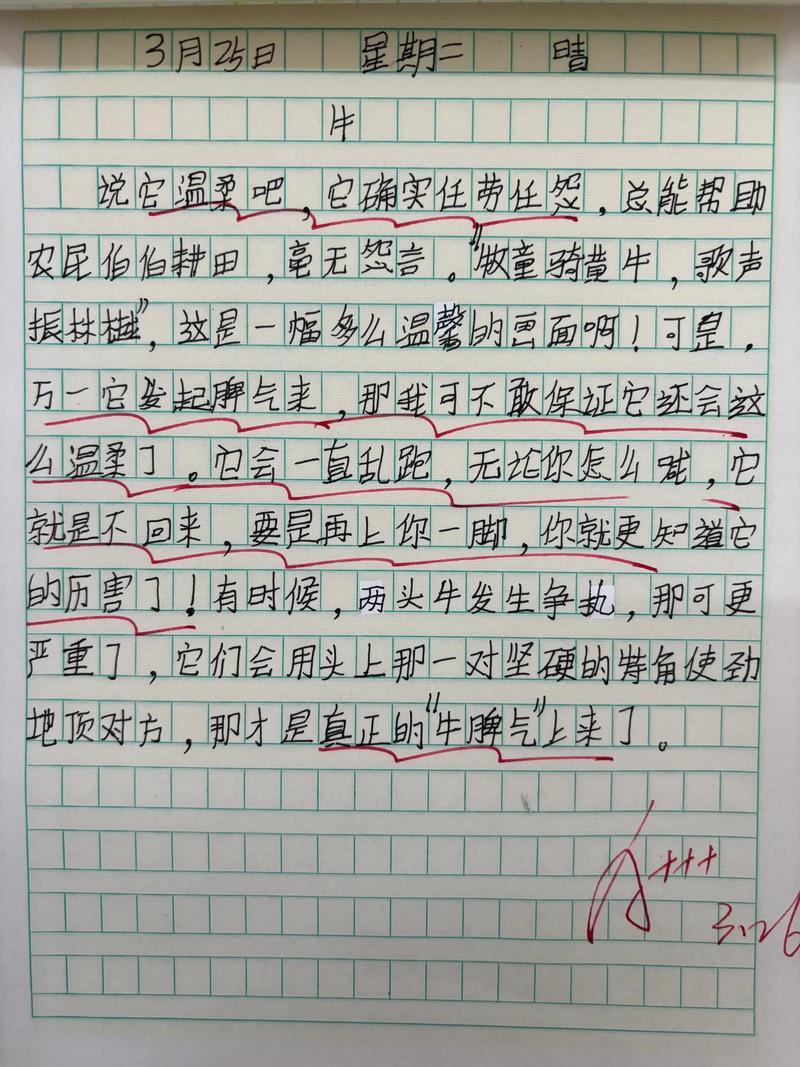 语文同步学投稿范文分享：动物篇——猫（含名师点评）  第1张