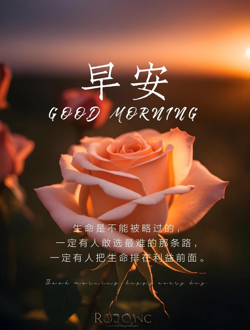 朋友圈最新网红早安语录,唯美走心,直抵心灵 第1张 朋友圈最新网红早安语录,唯美走心,直抵心灵 第1张