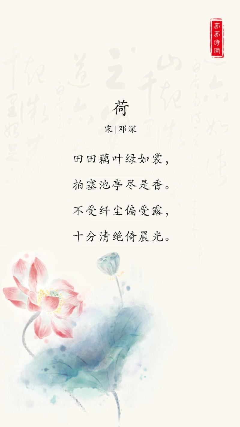 清新荷叶美诗六首:夏生荷叶中 第1张 清新荷叶美诗六首:夏生荷叶中 第1张