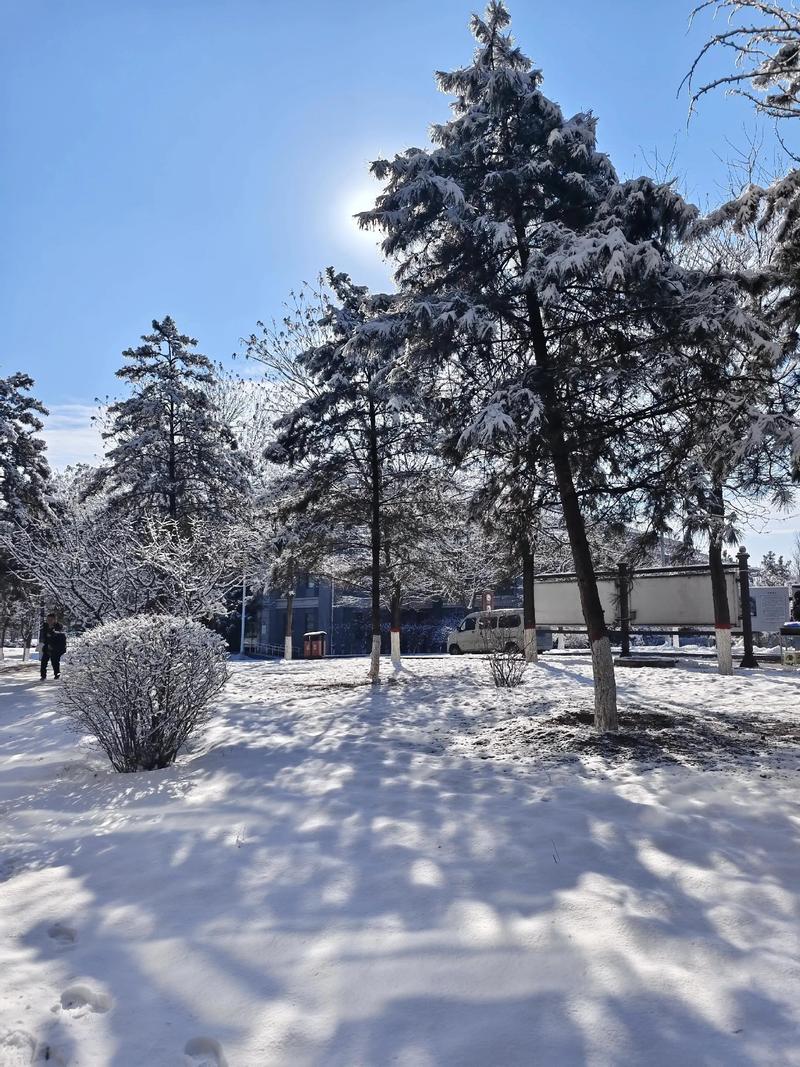 十二片雪 第1张 十二片雪 第1张