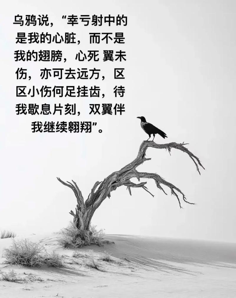 回首,心痛到荼蘼…… 第1张 回首,心痛到荼蘼…… 第1张