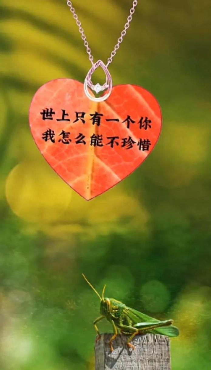 全世界只有一个你，你让我怎能不去珍惜  第1张