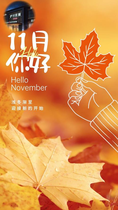 十一个月，我们还在继续  第1张