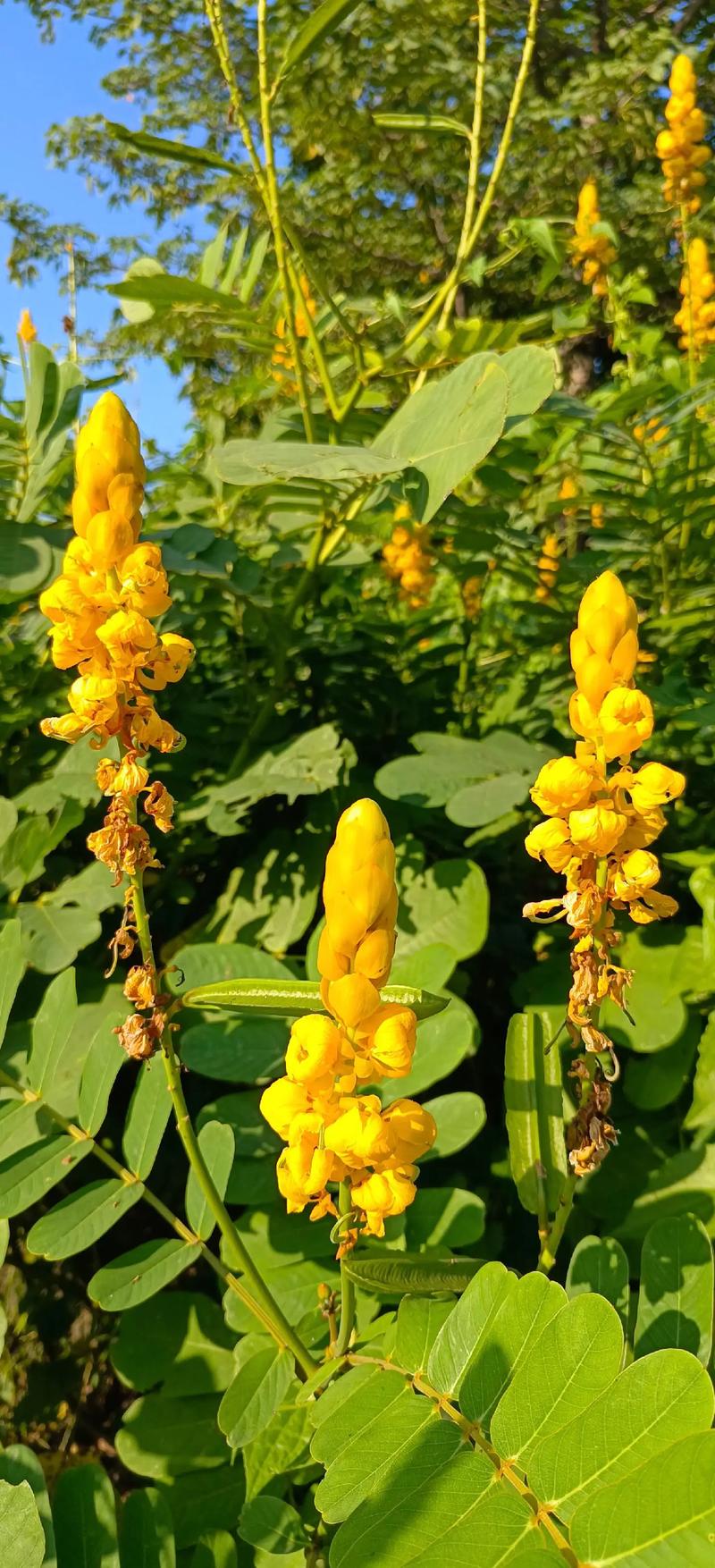 花花世界,唯我独行 第1张 花花世界,唯我独行 第1张