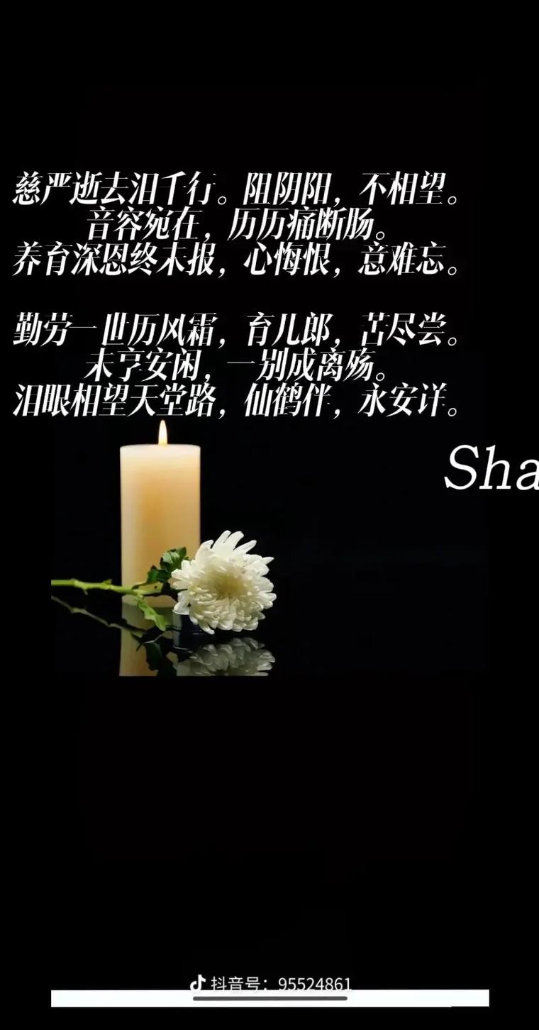 命运的一个梦―悼 第1张 命运的一个梦―悼 第1张