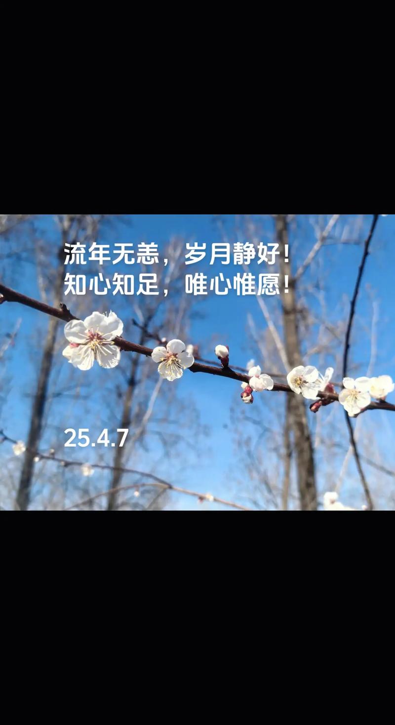 轻依岁月,静守流年 第1张 轻依岁月,静守流年 第1张