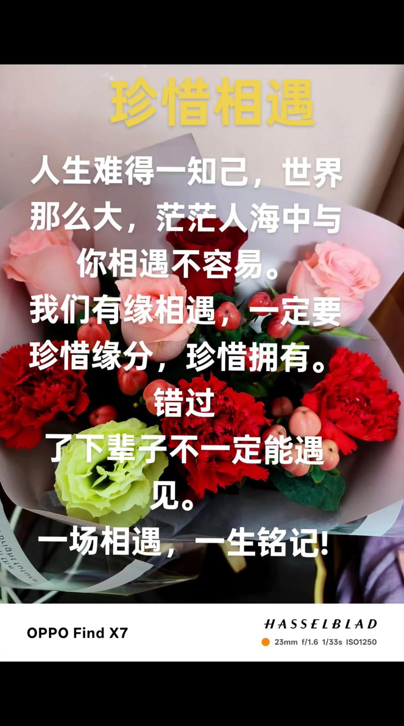 今生今世的感恩,来生来世的相续(鼎然) 第1张 今生今世的感恩,来生来世的相续(鼎然) 第1张