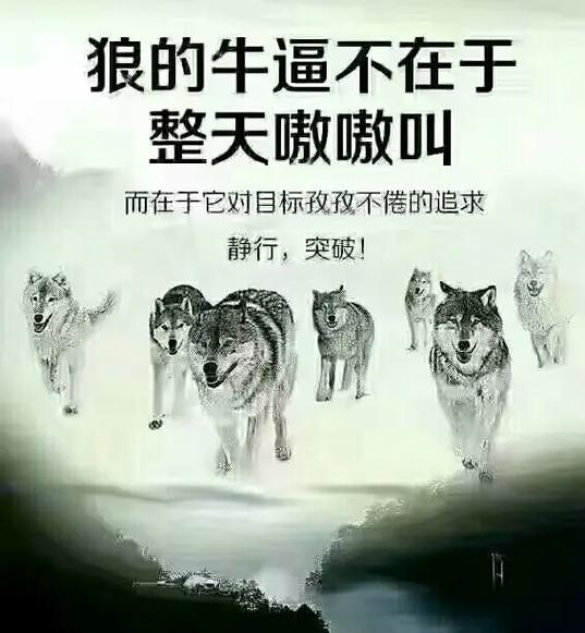 狼的50格言，你会受用一生  第1张