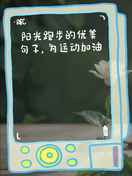 文艺的跑步专属文案 第1张 文艺的跑步专属文案 第1张