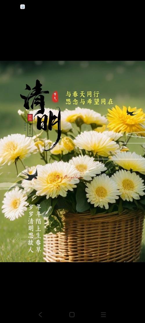 清明哀思 第1张 清明哀思 第1张