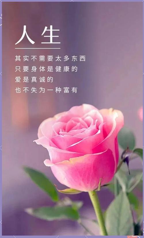 感悟人生精辟短句，人生感悟，简短精辟的哲理短句  第1张
