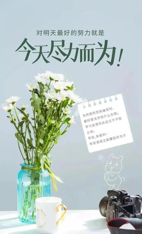 人生正能量励志语录，人生正能量励志语录，勇往直前，追寻梦想的脚步永不停止。  第1张