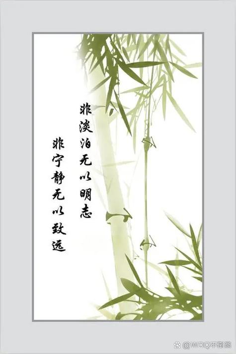 淡泊 第1张 淡泊 第1张