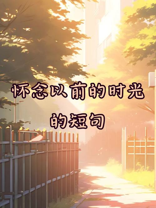阳光温热，岁月静好，你还不来，我怎敢老去  第1张