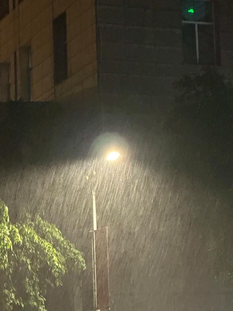 细雨中的徘徊 第1张 细雨中的徘徊 第1张