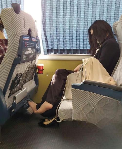 列车上遇到的姑娘 第1张 列车上遇到的姑娘 第1张