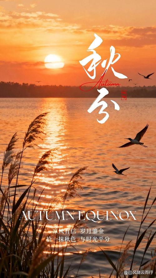 秋分时光 第1张 秋分时光 第1张