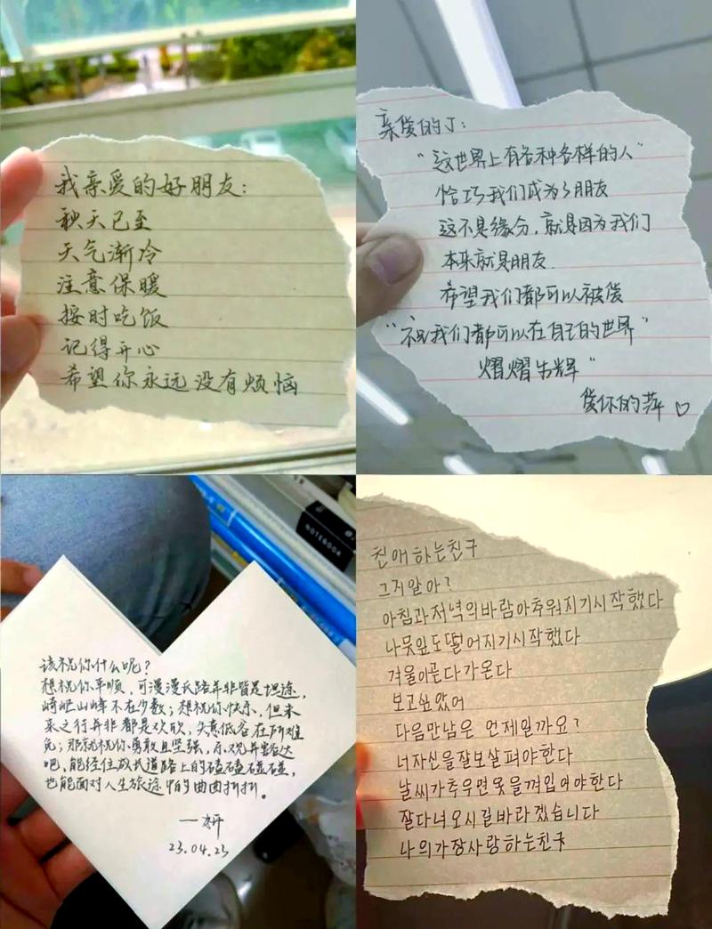 朋友心得  第1张