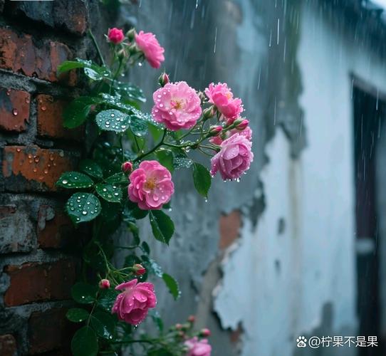 花虽落，风住尘香  第1张