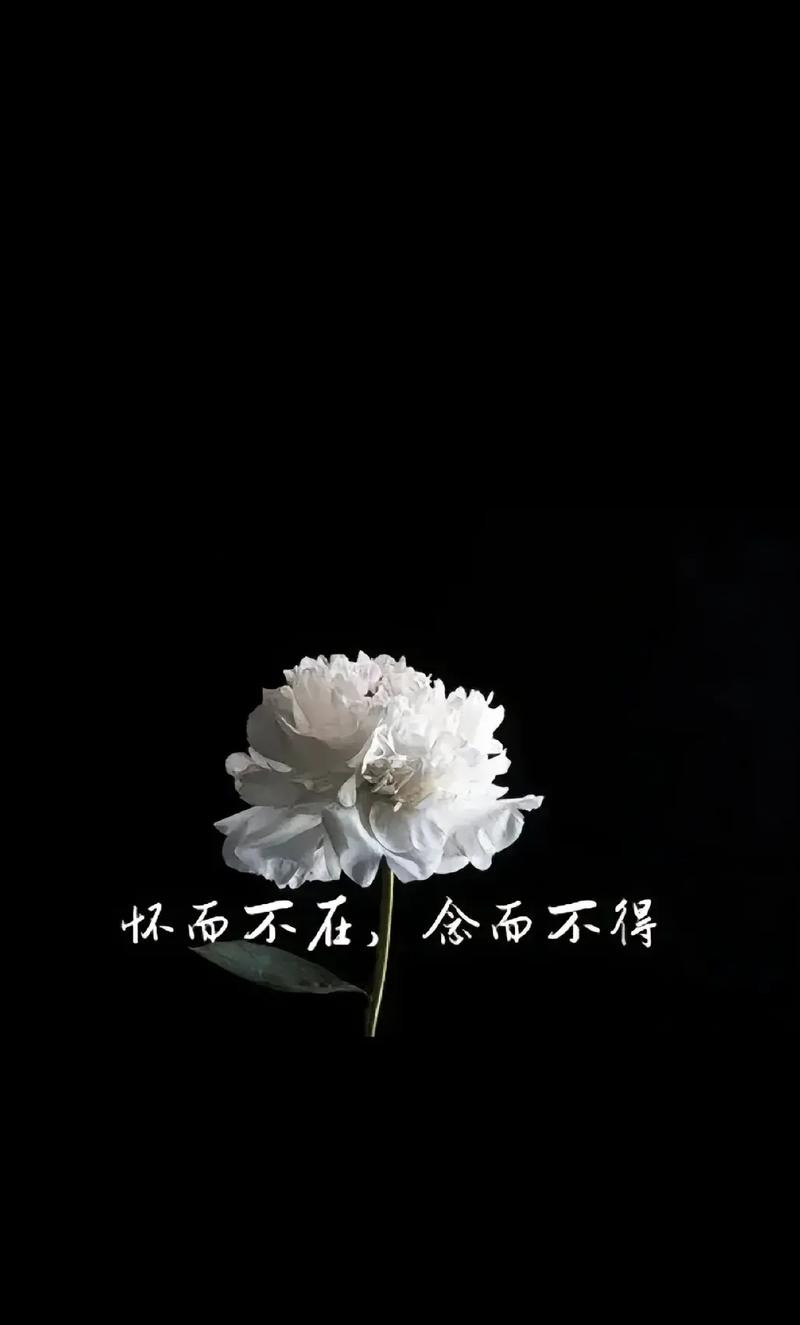 念  第1张